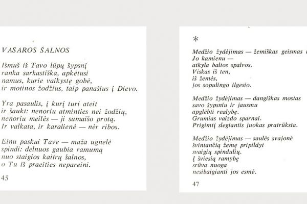 Kulvos krašto poetės Audros Stasiukonytės biografija