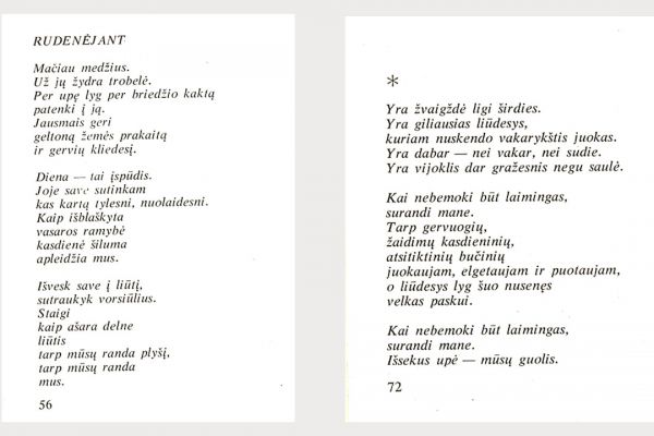 Kulvos krašto poetės Audros Stasiukonytės biografija