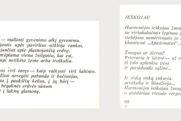 Kulvos krašto poetės Audros Stasiukonytės biografija